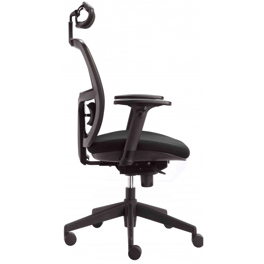 Norma Mesh Back Ergonomic Posture Chair